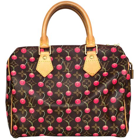 louis vuitton speedy 25 size|Louis Vuitton cherry speedy 25.